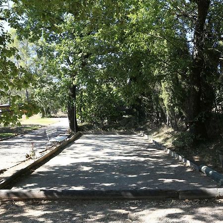 Le Mas Du Vieux Chene Saint-Paul-en-Forêt Екстериор снимка